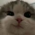มีน (@m3an4i) Twitter profile photo มีน (@m3an4i) Twitter profile photo
