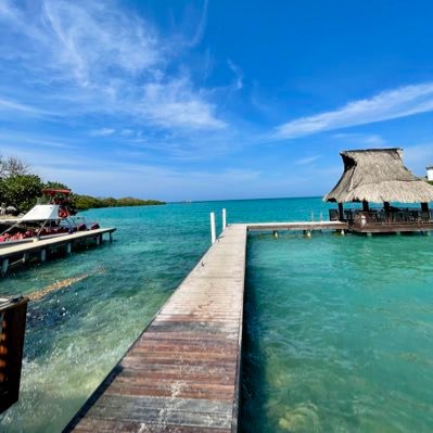 mfernandarivera's profile picture. La felicidad no está en la meta sino en el camino ...