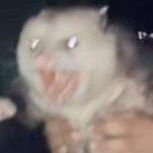 luskita0luka's profile picture. he/him 🏳️‍⚧️
20y
🇧🇷🇧🇷