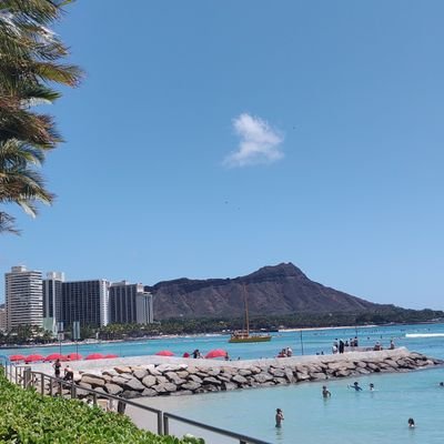 F6RkWEI42622980's profile picture. ハワイが好き
　趣味はゴルフ、サッカー観戦