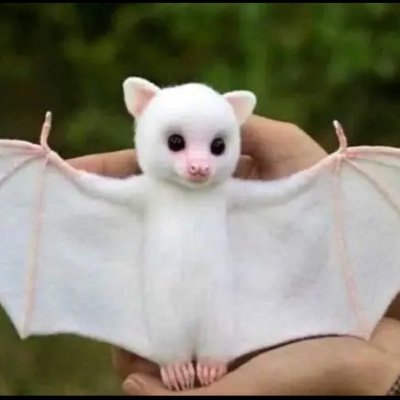 AlexSuperTrampQ's profile picture. 20