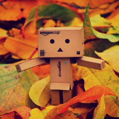 Ale_Ulfberth's profile picture. Life Is Box🥊. Reza para que mis espíritus de la suerte me guíen a muchas más batallas cuando haya vencido a esta herida.

I walk alone 🐺