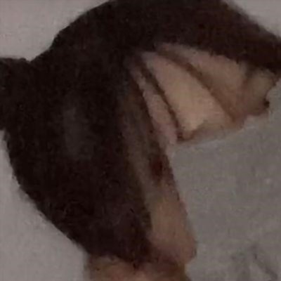 リプは前戯。
デートのお誘いまだですか ⁉️
おふぱこ募集用▷▷▷https://t.co/rpMGaLKN0i