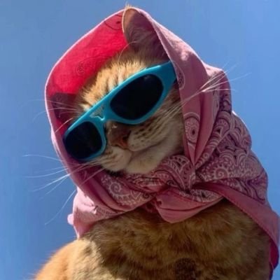 meljessinhaa's profile picture. 