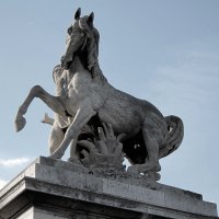 Cavalcade (@cavalcadeblog) 's Twitter Profile