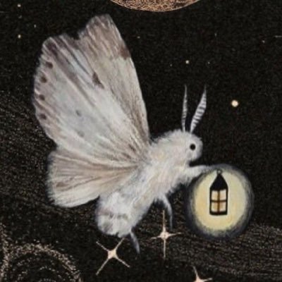 ‧₊ ˚✩ ✦ 🕯️🪰🪻✩ ₊˚ la polilla de Hecate —-ཐིཋྀ 🌜tarotista | brujo 🧷 el/elle | ✦ #tarottwt