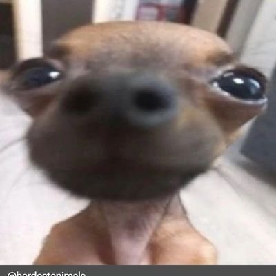 rockles_27's profile picture. 