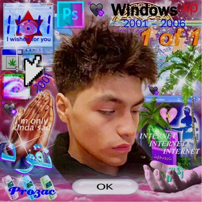 pvzt0's profile picture. 