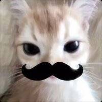 安陌 (@kuguadawangam) 's Twitter Profile Photo