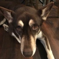 John Brennan (@john07392922128) 's Twitter Profile Photo John Brennan (@john07392922128) 's Twitter Profile Photo