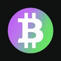 BTC (@btcsolfun) 's Twitter Profile
