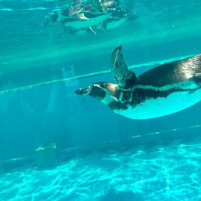 moon_rabisister's profile picture. 放デイで働いている臨床心理士です。 スキマ世代/きょうだい/