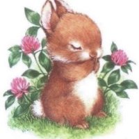 al ✨ (@technicalice) 's Twitter Profile Photo al ✨ (@technicalice) 's Twitter Profile Photo