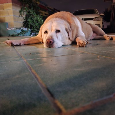 sarumanilverde's profile picture. 