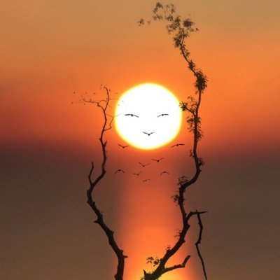 Manojku08731292's profile picture. 