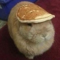 Manulkurt (@manulkurt) 's Twitter Profile