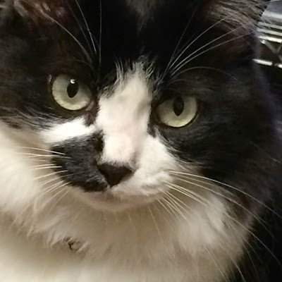 tk7568tk0709's profile picture. 