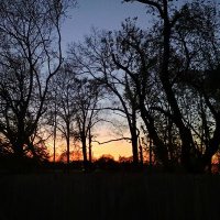 RUBEN GONZALEZ (@rubengonza96018) 's Twitter Profile