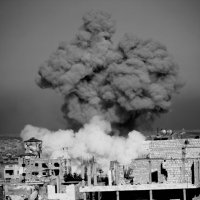 Ali Haj Suleiman (@alihajsuleiman) 's Twitter Profile
