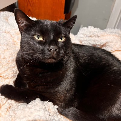 sammieisd34d's profile picture. 21