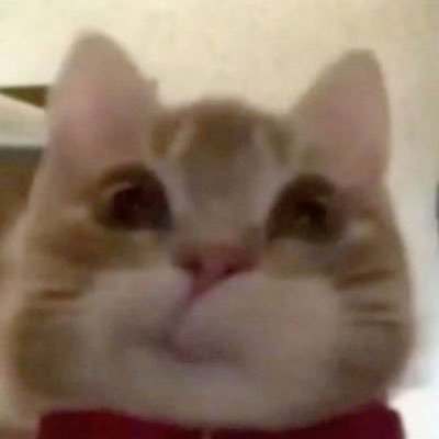 ruemibabe's profile picture. 