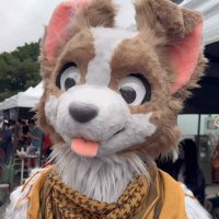 Ca Woof ➡️ UTFG2025 (@caraguawoof) 's Twitter Profile