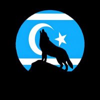 Ahmed Al-Bazzaz ( Ahmed Türkmen ) (@ahmedmilanist16) 's Twitter Profile