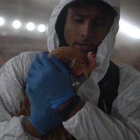 Cameron Mehta (@cam__mehta) 's Twitter Profile