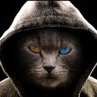 David South (@davidso35118471) 's Twitter Profile Photo