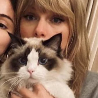 💖| The Eras Tour 03/25 LV | Speak Now Tour 2011 | swiftie since Fearless | aries | corgis | foodie | cats | books | flowers | hiking |