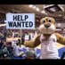 Burns Alley Bombers (@chucktownhoops) Twitter profile photo Burns Alley Bombers (@chucktownhoops) Twitter profile photo