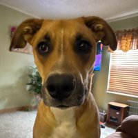 Whit🇺🇸 (@whitacre107) 's Twitter Profile Photo