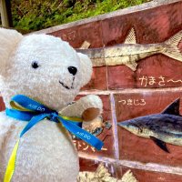 クロ@ʕ•ᴥ•ʔ📸 (@kur0_0ruk) 's Twitter Profile