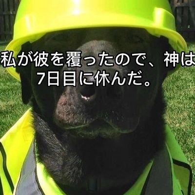 Mr_UIises's profile picture. 📟