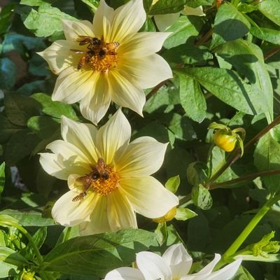 taranath1729's profile picture. 