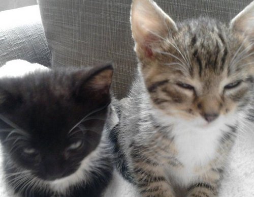 sjtilyard's profile picture. 