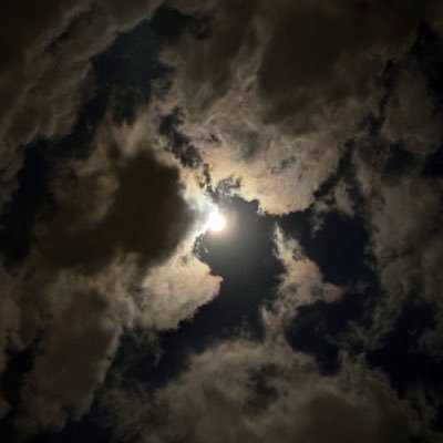 1huthli's profile picture. 