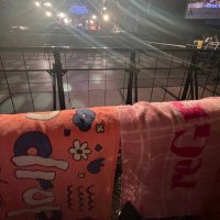 ま お (@ma_07_ochan) 's Twitter Profile Photo