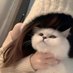 maki (@1993mgaryk0519) Twitter profile photo maki (@1993mgaryk0519) Twitter profile photo
