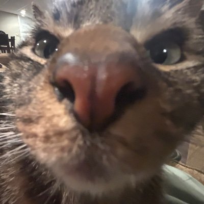 erininhell's profile picture. writer, student, leftist, lover