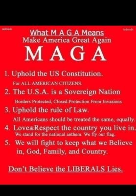 JESUS ,MAGA Constitutional Conservative,Back the blue,Stand up for your country 🇺🇸 cowboy logic, Never surrender .