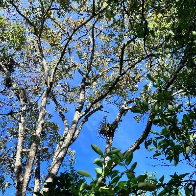 gt502_luis's profile picture. a shot never taken it’s a hundred percent a missed opportunity