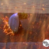 헤도르(트친소) (@djdhduq) 's Twitter Profile