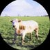 πνεῦμα (@hgyihgffhhf) Twitter profile photo πνεῦμα (@hgyihgffhhf) Twitter profile photo