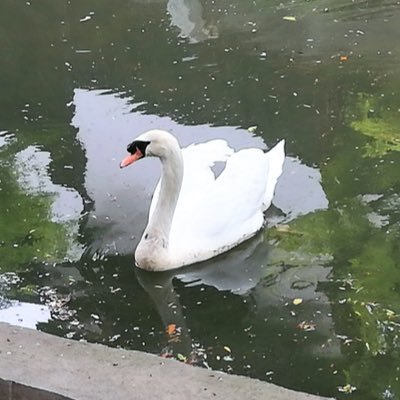 hamamama_27's profile picture. 06 岡大……glee 76th Ten.