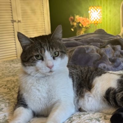 wiggly_paws's profile picture. 