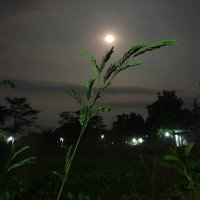 Gendon Fals (@gendon8005) 's Twitter Profile