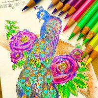 麻呂鳥®ぬりえ (@marodori_nurie) 's Twitter Profile Photo