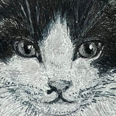 窪田まみさんのプロフィール画像