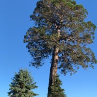 bigtree (@barryhaggl71648) 's Twitter Profile